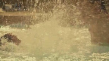 Sex Video On Tumblr